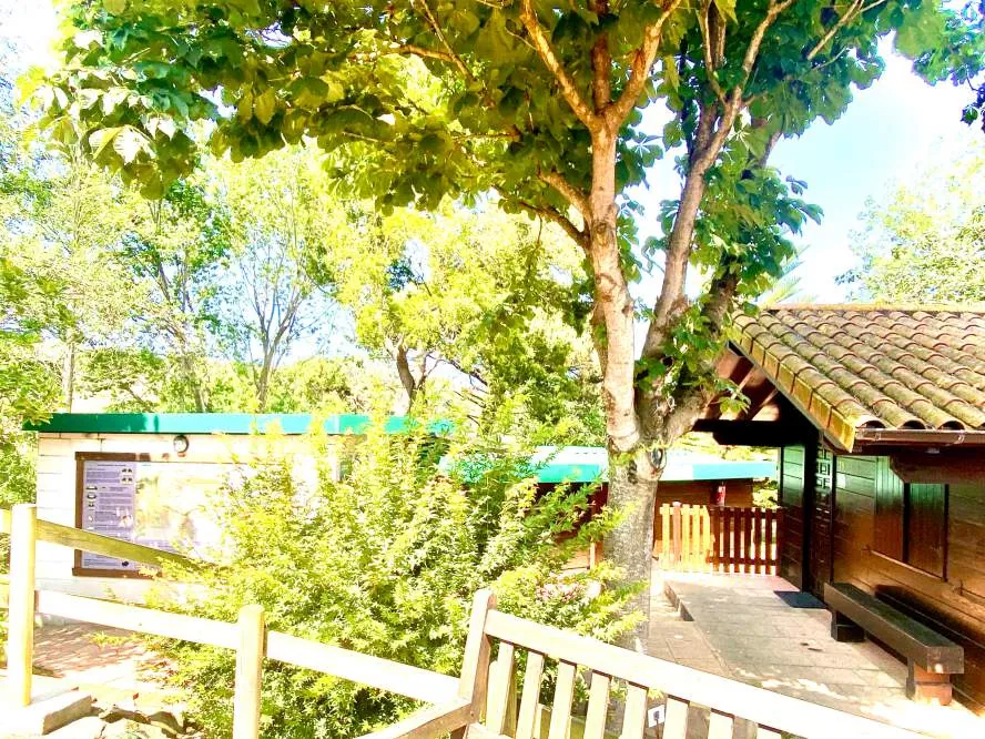 Zona ajardinada del Albergue Paradiso con cabañas de madera